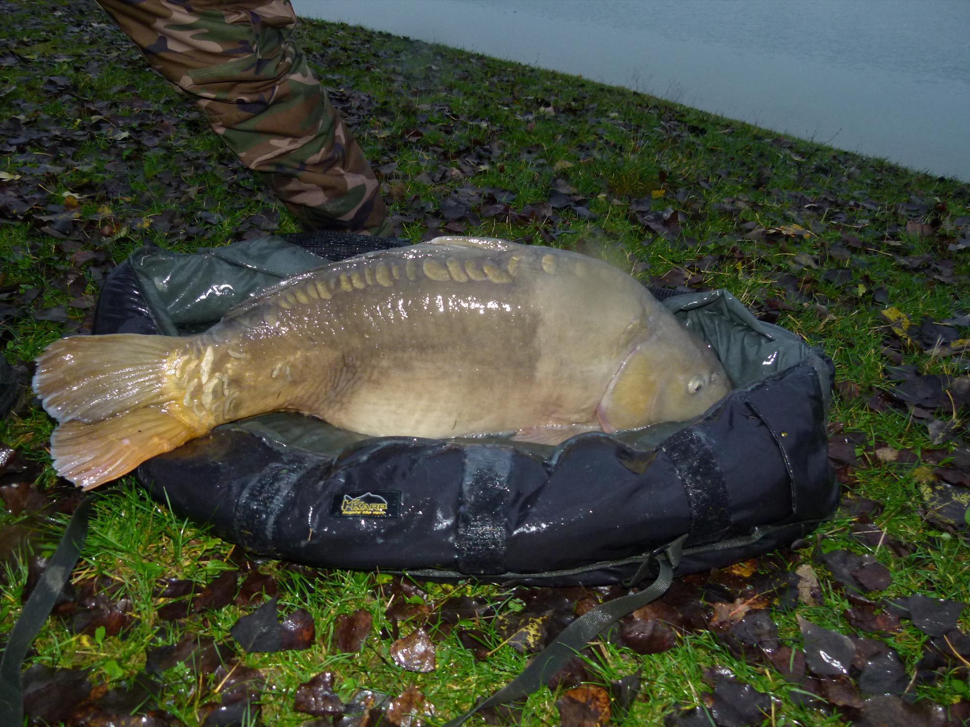 THE BIGS OF 2012 - p1030006.JPG